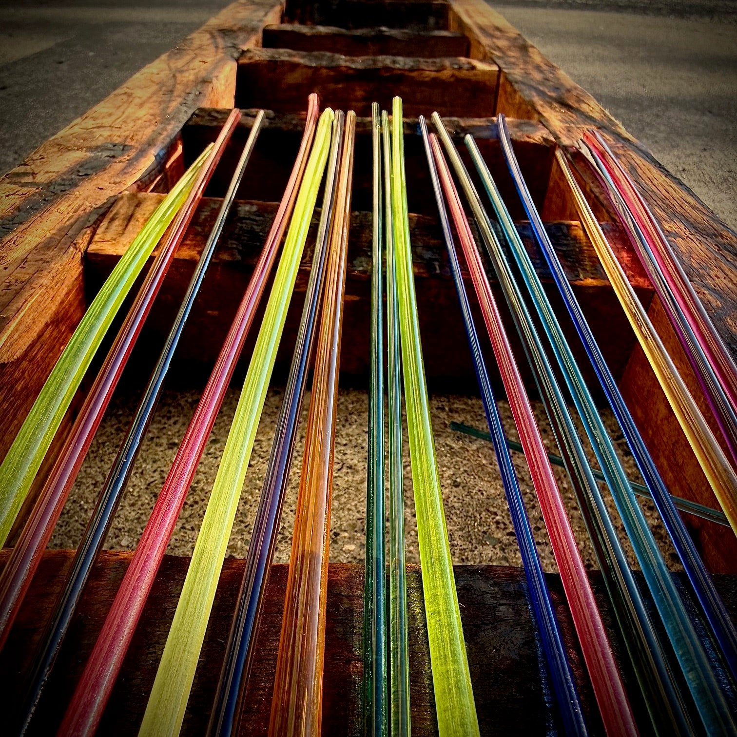 Cane Brain<br>Weekend Workshop<br>March 28 & 29, 2026